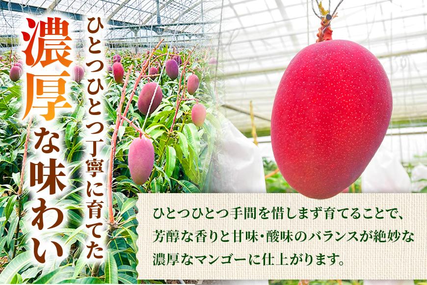 【贈答用】宮古島産マンゴー1kg ＜リトルグローブ＞（LT001）