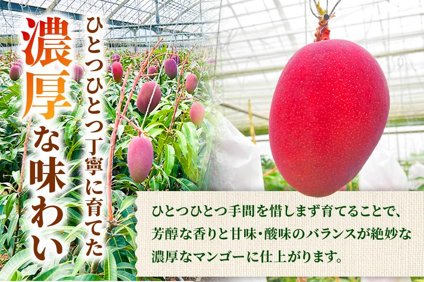 【贈答用】宮古島産マンゴー2kg ＜リトルグローブ＞（LT002）