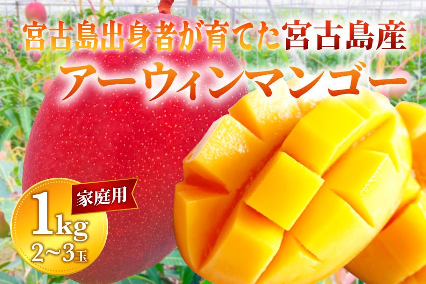 【家庭用】宮古島産マンゴー1kg ＜リトルグローブ＞（LT003）