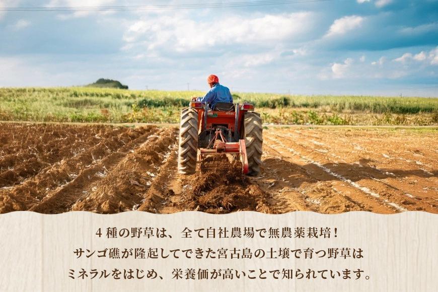 宮古島産4種ハーブ配合 ずみ茶1袋(4.3gx30包)（UM03）