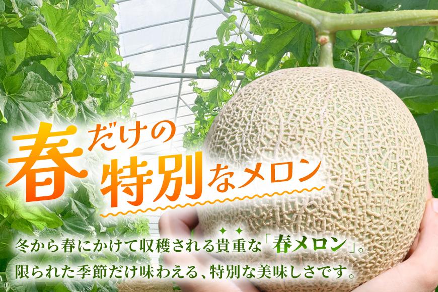 宮古島産赤肉メロン 大玉1玉（2kg以上）【ブルータートルファーム】（DC012）