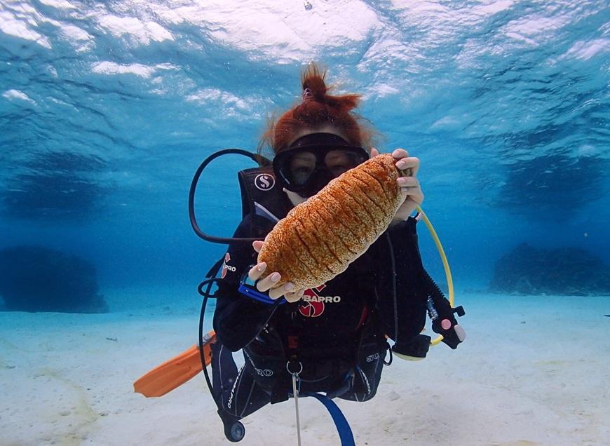 äœéšãã€ãã³ã°ïŒïŒããŒããã€ãïŒããŒã«ããã¢ãŒã·ã§ã³ïŒMA01ïŒ