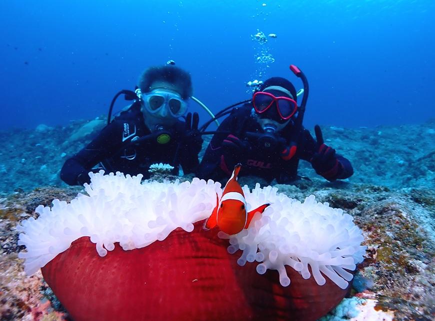 äœéšãã€ãã³ã°ïŒïŒããŒããã€ãïŒããŒã«ããã¢ãŒã·ã§ã³ïŒMA01ïŒ