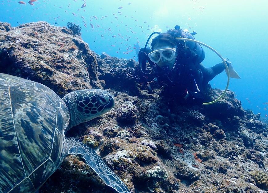 äœéšãã€ãã³ã°ïŒïŒããŒããã€ãïŒããŒã«ããã¢ãŒã·ã§ã³ïŒMA01ïŒ