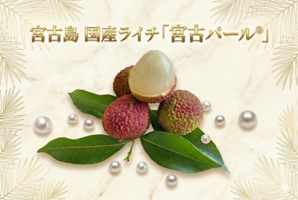 宮古島　国産ライチ 「宮古パール®」（9粒）(PF01)