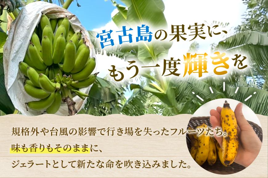 ãå®®å€å³¶ç£ãã«ãŒã䜿çšãå®®å€å³¶ãžã§ã©ãŒã èŽ
æ²¢6çš®é£ã¹æ¯ã¹ã»ããïŒWK01ïŒ