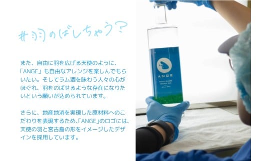 DT04縲螳ョ蜿、蟲カ縺ョ繧オ繝医え繧ュ繝薙°繧臥函縺セ繧後◆繝ゥ繝驟偵窟NGEシ医い繝ウ繧ク繝・シ峨250ml繝サ700mlシ亥推1譛ャシ