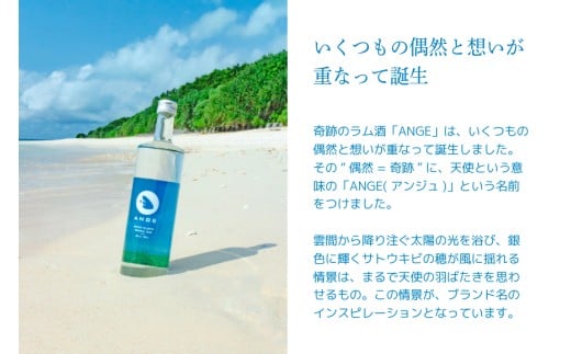 DT04縲螳ョ蜿、蟲カ縺ョ繧オ繝医え繧ュ繝薙°繧臥函縺セ繧後◆繝ゥ繝驟偵窟NGEシ医い繝ウ繧ク繝・シ峨250ml繝サ700mlシ亥推1譛ャシ