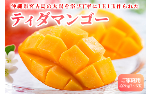 AI003【先行予約】2026年発送　沖縄県宮古島・完熟マンゴー2kg【ご家庭用】ティダマンゴー宮古島農園