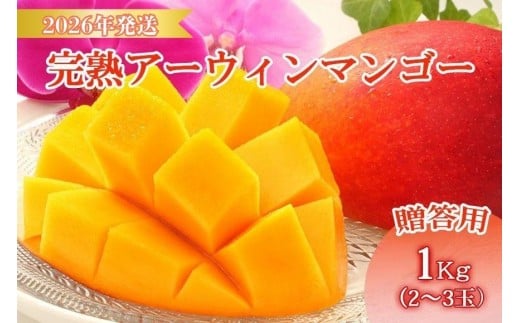 ＜先行予約2026年発送＞宮古島産“完熟アーウィンマンゴー”《贈答用》1kg【福来多まつばらマンゴー園】（MF01）