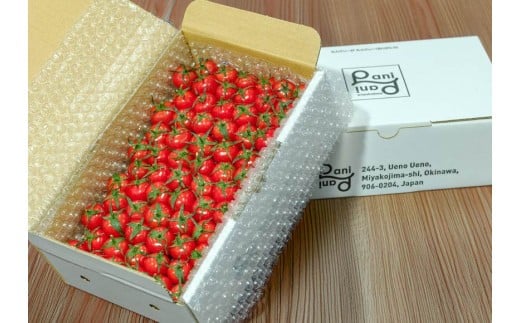 宮古島産 トマト 【プチぷよ】 約800g　糖度平均12度（PN02）