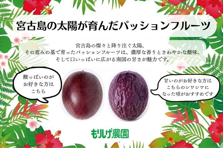 エキゾチックな味わい！宮古島産パッションフルーツ（1kg）(JJ008)