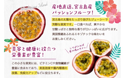 エキゾチックな味わい！宮古島産パッションフルーツ（1kg）(JJ008)