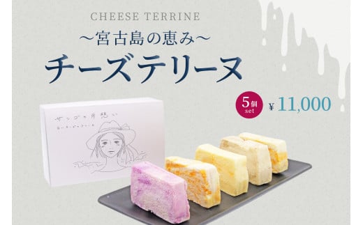 AYT002　〜宮古島の恵み〜 チーズテリーヌ 5個セット