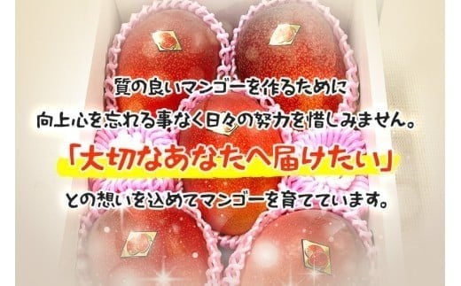 ＜2026年夏発送＞ 宮古島産樹上完熟マンゴー（訳あり/ご家庭用）1kg（2〜3玉）グットクロップ宮古島（SG004）