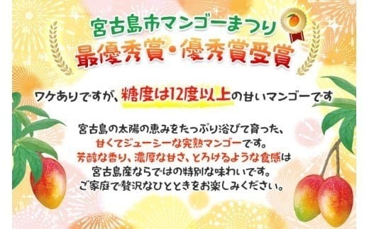 ＜2026年夏発送＞ 宮古島産樹上完熟マンゴー（訳あり/ご家庭用）1kg（2〜3玉）グットクロップ宮古島（SG004）