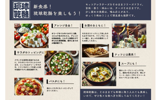 琉球乾酪（ドライモッツァレラチーズ）20g×3（CJ13）｜モッツァレラチーズ チーズ 手作りチーズ 熟成チーズ 贈り物 ギフト スナック おつまみ 食べ比べ 沖縄 宮古島市