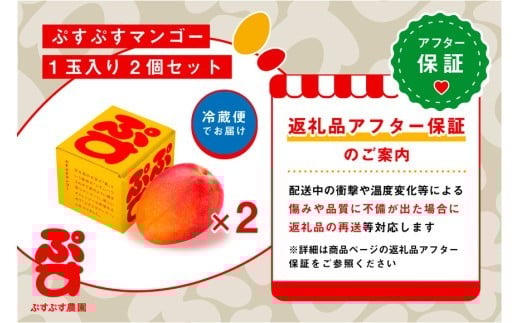 ãã·ãã·ã蟲åãïŒ2026幎çºéå
è¡äºçŽïŒå®®å€å³¶ç£å®çãã³ãŽãŒ1çå
¥ãÃ2åã»ããïŒèŸ²åçŽéïŒïŒKY005ïŒ