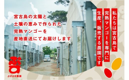 ãã·ãã·ã蟲åãïŒ2026幎çºéå
è¡äºçŽïŒå®®å€å³¶ç£å®çãã³ãŽãŒãã¬ãã¢ã ïŒèŽççšïŒ2ããïŒèŸ²åçŽéïŒ(KY004)