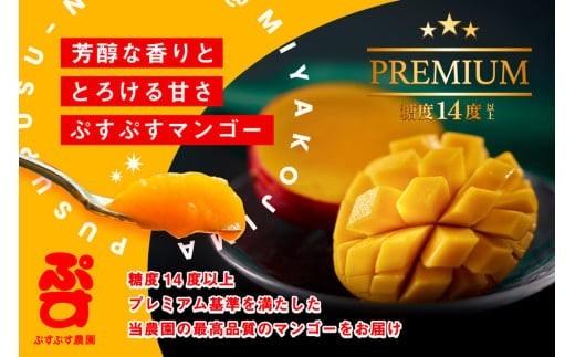 ãã·ãã·ã蟲åãïŒ2026幎çºéå
è¡äºçŽïŒå®®å€å³¶ç£å®çãã³ãŽãŒãã¬ãã¢ã ïŒèŽççšïŒ2ããïŒèŸ²åçŽéïŒ(KY004)