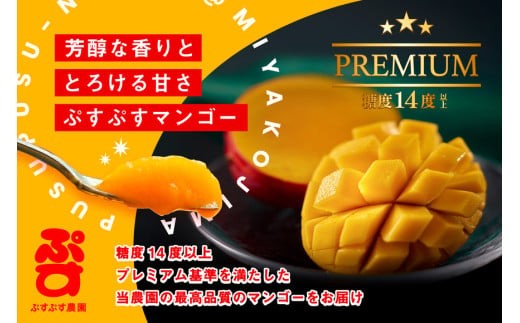 ãã·ãã·ã蟲åãïŒ2026幎çºéå
è¡äºçŽïŒå®®å€å³¶ç£å®çãã³ãŽãŒãã¬ãã¢ã ïŒèŽççšïŒ1ããïŒèŸ²åçŽéïŒïŒKY003ïŒ