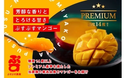 【ぷすぷす農園】＜2026年発送先行予約＞宮古島産完熟マンゴープレミアム（贈答用／1キロ／農園直送）（KY003）