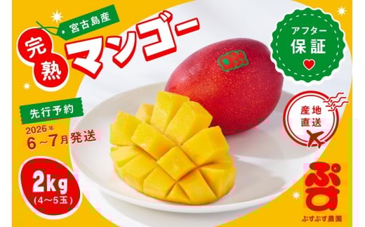 【ぷすぷす農園】＜2026年発送先行予約＞宮古島産完熟マンゴー(家庭用／2キロ／農園直送)（KY002）