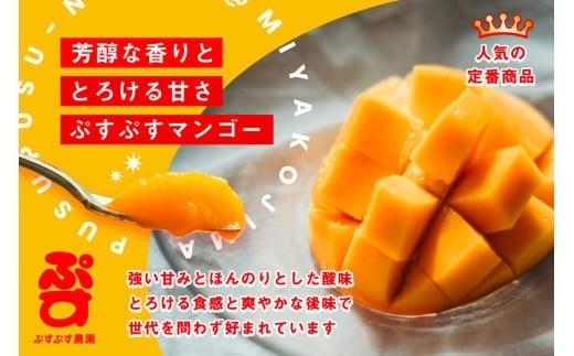 【ぷすぷす農園】＜2026年発送先行予約＞宮古島産完熟マンゴー(家庭用／2キロ／農園直送)（KY002）