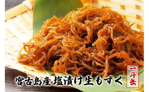 【大容量！】宮古島産塩漬け生太もずく（一斗缶）｜沖縄宮古島 漁師直送 モズク 海藻 塩漬け ヘルシー 食物繊維（CW27）