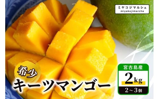 ãå
è¡äºçŽ 2026幎çºéãå®®å€å³¶ç£ åžå° ããŒããã³ãŽãŒ2kgã(æ ª)ãã©ã¢ã³ã(JH014)