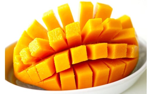 ãå
è¡äºçŽ 2026幎çºéãå®®å€å³¶ç£ åžå° ããŒããã³ãŽãŒ2kgã(æ ª)ãã©ã¢ã³ã(JH014)