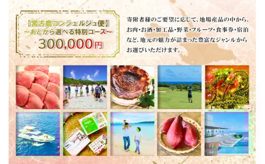 å®®å€å³¶ã³ã³ã·ã§ã«ãžã¥äŸ¿ ïœããšããéžã¹ãç¹å¥ã³ãŒã¹ãïŒ30äžååïŒïŒCW11ïŒ