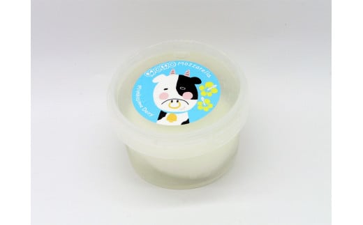 【Early Remix】チーズ3種セット|リコッタチーズ モッツァレラチーズ スカモルツァ（CJ08）