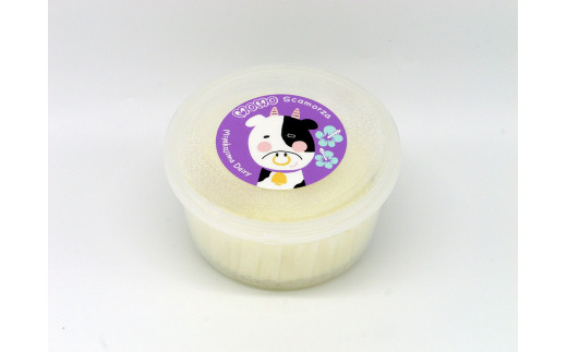 【Early Remix】チーズ3種セット|リコッタチーズ モッツァレラチーズ スカモルツァ（CJ08）