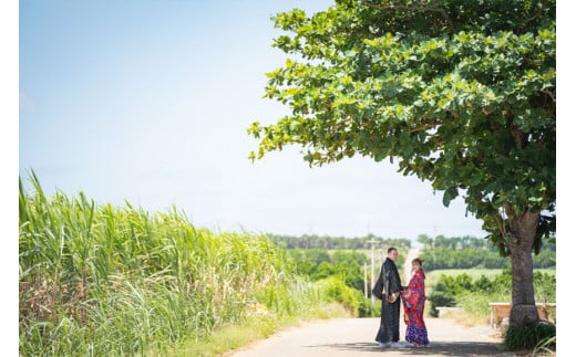 GK006ãå®®å€å³¶ïŒçè£
ãŠãšãã£ã³ã°ãã©ãïŒ