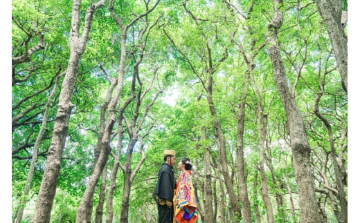 GK006ãå®®å€å³¶ïŒçè£
ãŠãšãã£ã³ã°ãã©ãïŒ