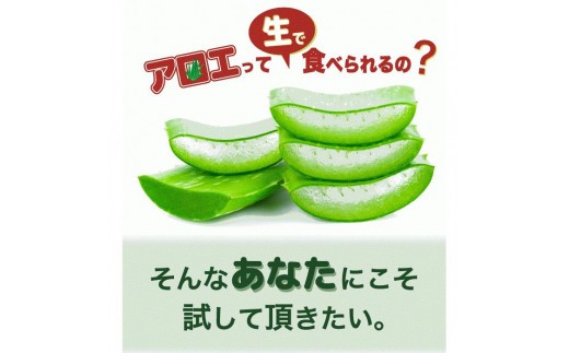 アロエベラ 食用 大きな生葉（2枚〜3枚） 沖縄・宮古島産｜有機JAS