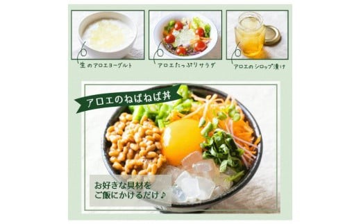 アロエベラ 食用 大きな生葉（2枚〜3枚） 沖縄・宮古島産｜有機JAS