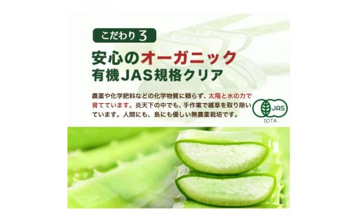 繧「繝ュ繧ィ繝吶Λ 闍 10譬ェ 豐也ク繝サ螳ョ蜿、蟲カ逕」ス懈怏讖櫟AS 隕ウ闡画、咲黄