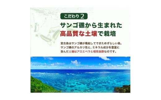 繧「繝ュ繧ィ繝吶Λ 闍 10譬ェ 豐也ク繝サ螳ョ蜿、蟲カ逕」ス懈怏讖櫟AS 隕ウ闡画、咲黄