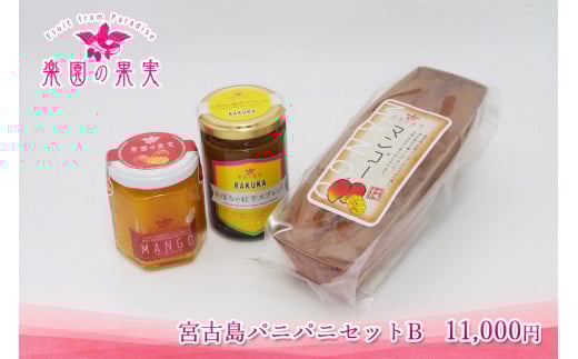 宮古島パニパニセットB(DQ031)