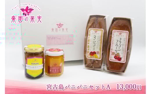 宮古島パニパニセットA（DQ029）