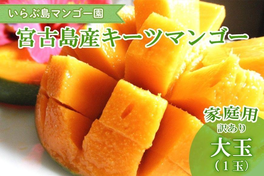 【先行受付】＜2026年発送＞いらぶ島マンゴー園　宮古島産“キーツマンゴー”《家庭用》大玉1玉　900g以上（HR08）
