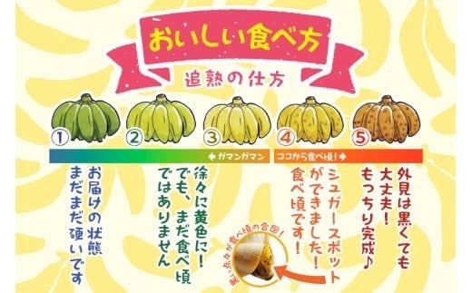 å®®å€å³¶ç£ããã1kgãïŒæ ªïŒãã©ã¢ã³ãïŒJH007ïŒ