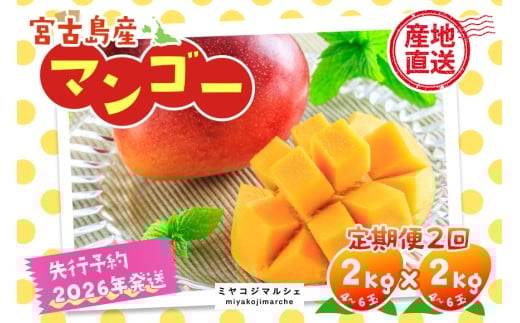 《先行予約 2026年発送》宮古島産マンゴー（2kg×定期便2回）【（株）フラモン】(JH004)