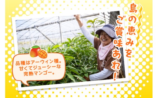 ãå
è¡äºçŽ 2026幎çºéãå®®å€å³¶ç£ãã³ãŽãŒïŒ2kgÃå®æäŸ¿2åïŒãïŒæ ªïŒãã©ã¢ã³ã(JH004)