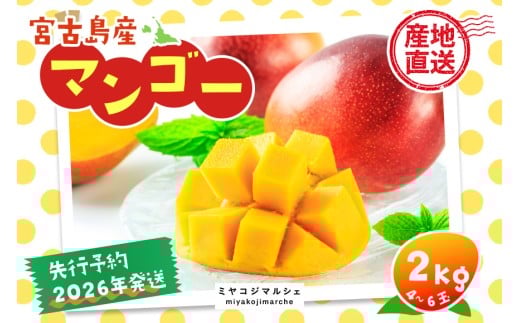 JH002《先行予約 2026年発送》宮古島産マンゴー２ｋｇ【(株)フラモン】