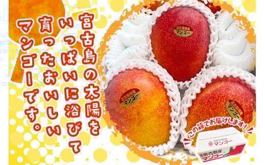 JH002ãå
è¡äºçŽ 2026幎çºéãå®®å€å³¶ç£ãã³ãŽãŒïŒïœïœã(æ ª)ãã©ã¢ã³ã