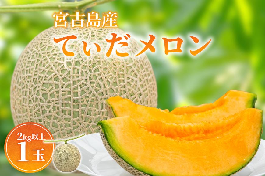【8farm】宮古島産てぃだメロン1玉（2kg以上）《2025年12月～1月発送》（JC005）