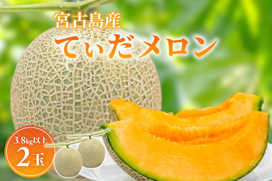 【8farm】宮古島産てぃだメロン2玉（3.8kg以上）《2025年12月～1月発送》（JC004）